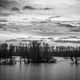 Image for article titled 27 Photos Of Barenaked Trees
